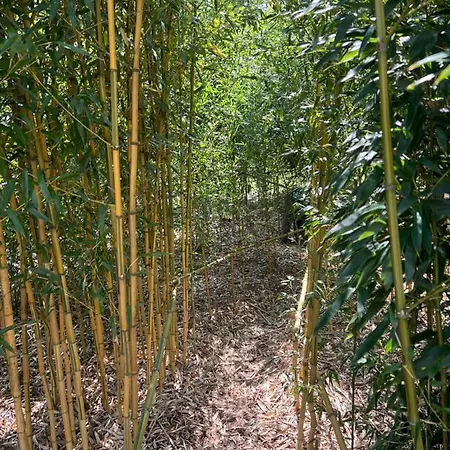 Le Relais Des Chevaliers 
