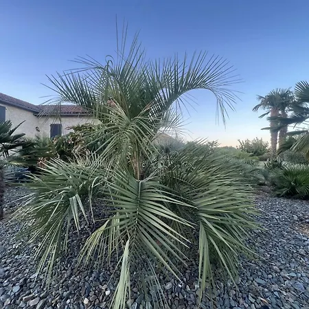 Le Relais Des Chevaliers 