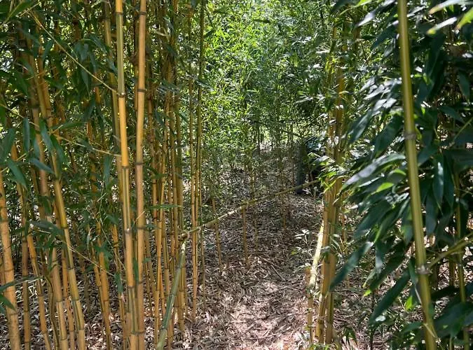 Le Relais Des Chevaliers 